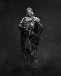 Denis Maznev’s Instagram post: “The Maid of Tarth 🌞🌛 Brienne was definitely not next in line for that B/W series but it turns out people really wanted to her, so here you…”