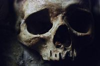 Ἀνδροκτασίαι - The Androctasiae were the female spirits of battlefield slaughter and the daughters and companions of Eris.