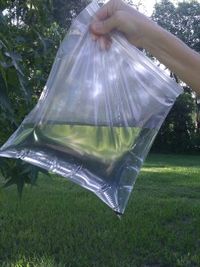 Fly repellent - pinner said "I had to repin this again for you to see. YES IT WORKS!" Worth a try.