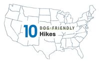 With gorgeous scenery and dog-friendly highlights, these trails are sure to please you and your pup.