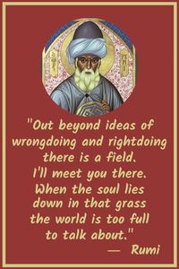 Rumi: "Out beyond ideas of wrongdoing and rightdoing there is a field. I'll meet you there. When the soul lies down in that grass the world is too full to talk about." #Rumi #quotes