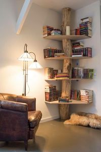 A tree bookshelf. Whimsical way to shelf books and display them. I could see this in a cozy corner of a library.