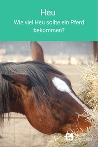 Die Vorfahren unserer Hauspferde haben in der Steppe gelebt und oft 16 bis 18 Stunden pro Tag der Nahrungssuche und –aufnahme gewidmet. Dabei haben sie stets kleine Mengen an Nahrung aufgenommen und unzählige Kilometer zurückgelegt. Und genau darauf ist der Verdauungstrakt der Pferde ausgerichtet: Kleine Mengen, die in regelmäßigen, nicht zu großen Abständen gefüttert werden. Wie du die Fütterung deines Pferdes gestalten kannst, erklären wir in unserem Blog-Post.