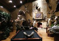 psycho Corey Knowlton - serial animal killer ~ in his father's trophy room