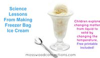 Science Lessons From Making Freezer Bag Ice Cream
