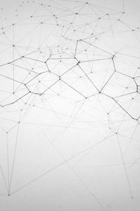 organic geometric