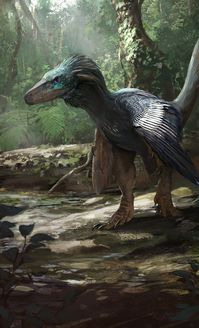 Balaur bondoc package art by Jonathan Kuo'