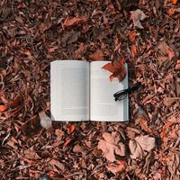15 best detective novels for every mystery lover