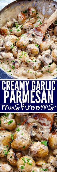 Creamy Garlic Parmesan Mushrooms are sautéed in a butter garlic until tender and then tossed in the most AMAZING creamy parmesan sauce. These are great as a side, on top of meat or eaten by themselves and ready in under 10 minutes!