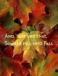 Fall quotes 2016,happy fall quotes,happy fall yall quotes,i love autumn quotes,i love fall quotations.Fall season quotes etc.
