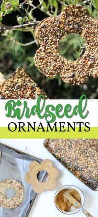 These Birdseed Ornaments are a great kid's craft project for spring! #birdfeedercrafts #birdseed #birdseedornaments #kidscrafts #gardencrafts #easykidscrats #springcrafts #cardboard #cookiecutters #peanutbuttercrafts #naturecrafts #craftsbyamanda