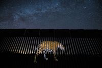 Why a new jaguar sighting near the Arizona-Mexico border gives experts hope
