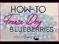 how to freeze dry fresh blueberries - Google Search
