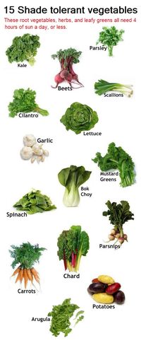 Vegetables to Grow in Shady Gardens