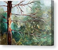 Foggy Woods Canvas Print by Nancy Merkle