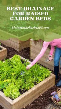 Raised garden beds, provide an enclosed space elevated a few inches to a few feet above the ground in which edible or ornamental plants can be grown. This gives your plants a more controlled environment. However, soil preparation is vital in a raised garden bed to establish the optimal circumstances for your plants before you bring them in.