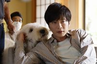 Astage-アステージ- on Twitter: "【CINEMA】映画『ハウ』🎬🐶 俳優犬ベック&田中圭ら豪華キャスト陣の現場オフショット映像🎥解禁!✨ ベックの可愛すぎるNGにメロメロ⁉️ #ハウ #映画ハウ #田中圭 #ベック #野間口徹 #渡辺真起子 #モトーラ世理奈 #宮本信子 #長澤樹 @haw_movie2022 https://t.co/8MNnTbRxNw https://t.co/dw9hsCAzRN" / Twitter