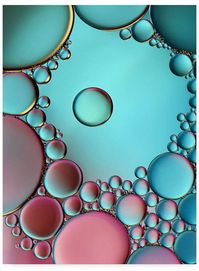 Trademark Global Heidi Westum 'Surrounded Or Protected' Canvas Art - 14 x 2 x 19