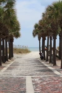 Atlantic Beach, Jacksonville FL~One of the most beautiful places I've ever been! ❤️