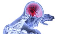 Mental Training After Injury – Building That Prefrontal Cortex Bridge | Sport CBDs