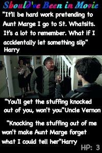 Harry Potter and the Prisoner of Azkaban Should've Been in Movie Harry Uncle Vernon funny Aunt Marge