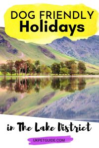 Looking to take a dog friendly holiday to The Lake District? This guide tells you what to do, where to stay, and features lots more tips and tricks!