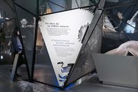 Graphisme et signalétique de l’exposition permanente “Espèces, la maille du vivant” 2015, Lyon (69)