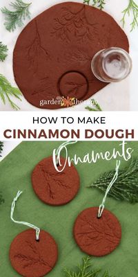 Can you imagine how sweet these cinnamon dough ornaments smell? Rich, dark brown ornaments imprinted with leaves and scented with apple and cinnamon couldn’t be a more suitable craft for the holidays! Cinnamon dough ornaments are very easy to make, and with a few tips you will have the perfect consistency of dough to transform into decoration. #gardentherapy #christmas #cinnamon #handmadegifts #ornaments