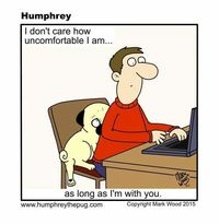 Humphrey the Pug