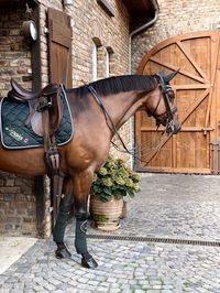 Dec 2, 2020 - Einzigartige, funktionelle und moderne Looks für alle Reitsportliebhaber ♥ Versandkostenfrei innerhalb Deutschlands ab 49,90 € ♥ Jetzt den SPOOKS Onlineshop entdecken