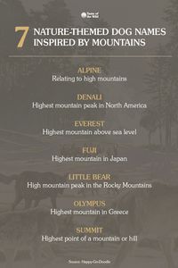 If you’re a mountain enthusiast, you may be searching for a dog name that reflects your passion. Try one of these seven nature-themed dog names for boy or girl dogs inspired by mountains! #DogNames #NewPetNames #AdventureDogNames