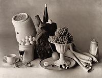 Still Life — The Irving Penn Foundation