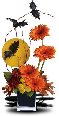 Bats incredible! Black bats fly above a full moon and spirited fall flowers in this fun Halloween floral arrangement. A stylishly spooky way to decorate your home or office for Halloween!