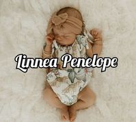 Linnea Penelope