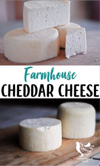 FARMHOUSE CHEDDAR CHEESE- Looking for an easy beginners hard cheese to make (that doesn't require several months to age?) Try this Farmhouse Cheddar Cheese- you'll love it! #cheese #cheesemaking #cheddar #homesteading #dairy #rawmilk #reformationacres