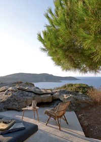 Corse