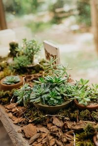 Casamento Folk: Guia Completo para Planejar o SeuCasamento Boho: um guia completíssimo com tudo o que você precisa saberCasamento minimalista: guia completo para você ter um casamento cleanCasamento DIY: tudo o que você precisa saber