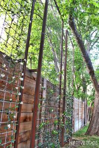 Custom iron privacy trellis