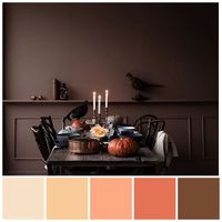 A Fall palette featuring analogous autumn colours based on tints and shades of orange. Colour palette illustration by Zena O’Connor featuring an image from Instagram @signebay 2018 fall colours #fallcolors #autumncolours
