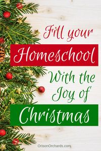 The Christmas season brings so much joy! Use these ideas to create fun traditions and fill your homeschool with the joy of Christmas!