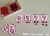 Strawberry Patch - Trillium Montessori