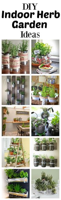 Several cool ideas. My fave is the reclaimed wood plants with mason jars.