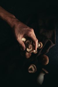 Mano sujetando setas silvestres. Iluminación estilo claroscuro.