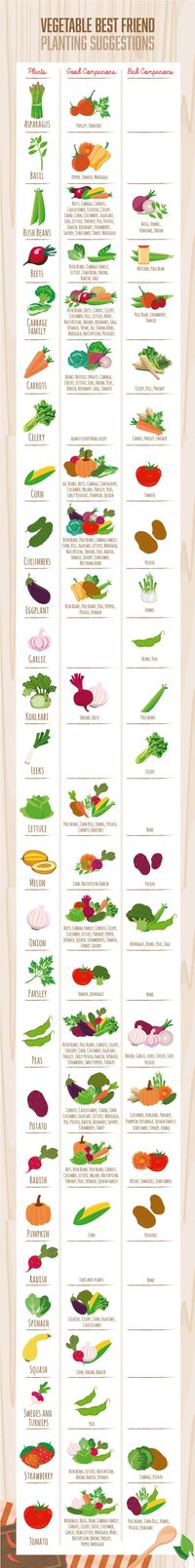 Gardening expert Vicki Joseph's companion planting chart should be a must-have for any gardener who's not sure what veggies should be planted together.