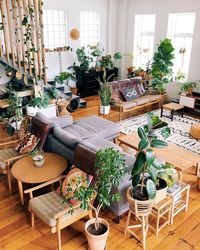 compte instagram plantes