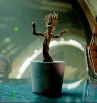 A Student Trolled A Teacher With Groot And I Hope They Got An A+