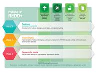 Overview | REDD+ Reducing Emissions from Deforestation and Forest Degradation | Food and Agriculture Organization of the United Nations