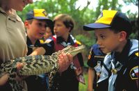 Scout programs at Houston Zoo