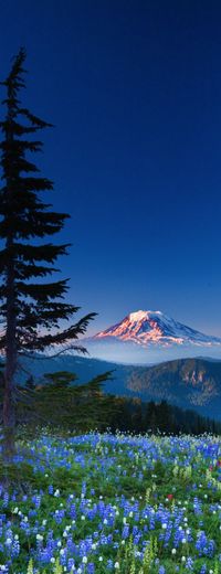 Mount Adams, Gifford Pinchot National Forest, Washington State, USA www.facebook.com/loveswish