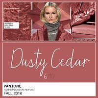 Dusty Cedar – ou “cedro empoeirado” – no ar! A 6a cor da Pantone Fall 2016 é aquele tom meio retrô, vintage e, claro, lindo de viver. Imaginem o Marsala só que mais clarinho e até mais rosado. Sim, rosa e é a própria Pantone que nos diz isso. Dusty Cedar PANTONE 18-1630 Remete à cor do ano Rose Quartz (post aqui) mas com toque empoeirado e sóbrio. Uma versão de outono e inverno dos rosas que havíamos visto na primavera Tom rosado mais empoeirado com alguma complexidade Transmite aconchego e a...